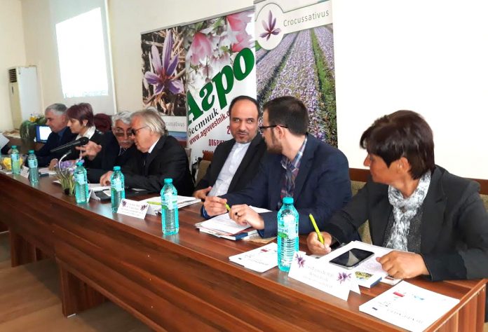 shafran_seminar