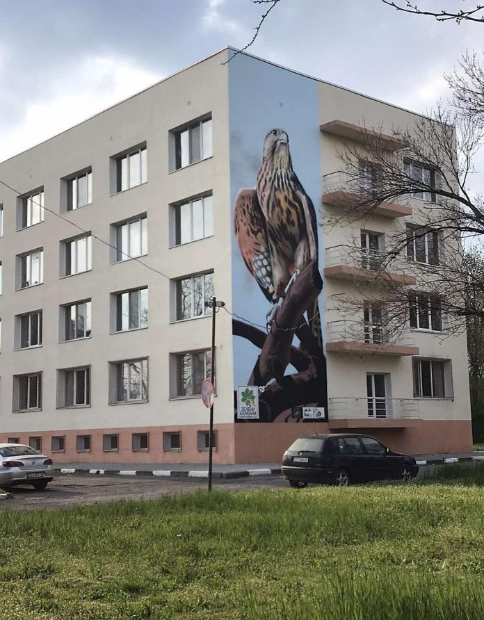 zeleni_sokil_graf