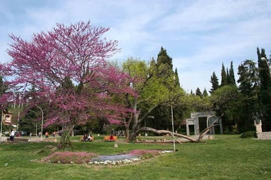 park_aya