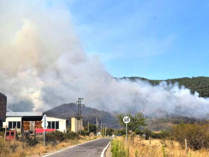 pojar_dimovci6