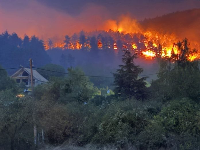 pojar_dunavci_12.09