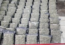 Собственикът на модерната наркооранжерия в Змейово остава за дълго в ареста