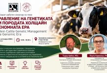 Тракийският университет ще бъде домакин на семинар за управление на генетиката при породата Холщайн